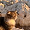 ikram_2720