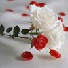 faris10378
