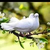 abdelah.mrabat1