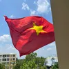 Mèo kêu sao thư