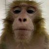 k_2_12b_theplanet