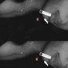 its_2faded