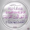 user1007744100219
