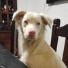 marcelo.camacho368
