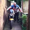 kingy19638