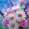 amatullah2451