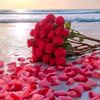 manahil.bashir3