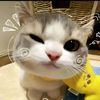 manusia._2530
