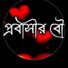 probashir.bow013