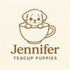 Jennifer teacup puppies.