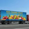 kimthanhfruit