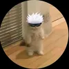 lynxfirel