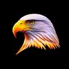 zeeshanking123452