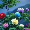 sathy.akter.mim0