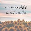 usman__ali.5