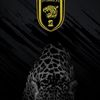 rashed.alansari32