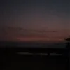 arabelle_78