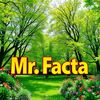 Mr.Facta279