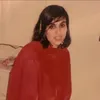 pari13993