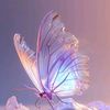 iqis__4