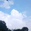 thanhnee0899