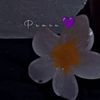 user5787656124755