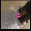 yukiioverly