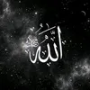 llrrooiip