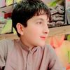 nemat00078