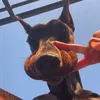 hiepdanghocgiaotiep