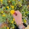 .malak358