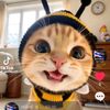 c..cat5