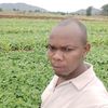 kitunguu.francis