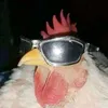feastw