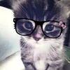 emlia.gdwssdv