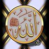 user8382561592798