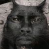 wsguy8idikils1278
