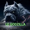 god_zilla43