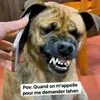 la.belle.massandj