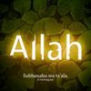 feysalaadan33
