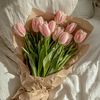 pinknzy_