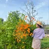 Bận Yêu Cây
