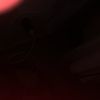 damaury_1231