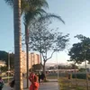 _mikls01