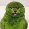 pepe614xd