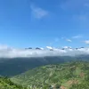 Qvap2-phụ tùng ôtô chính hãng