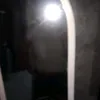 johnnaxxxxxxxxx