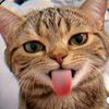 is.citra24