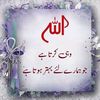 maryam.rizwan72