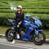 karincemong1